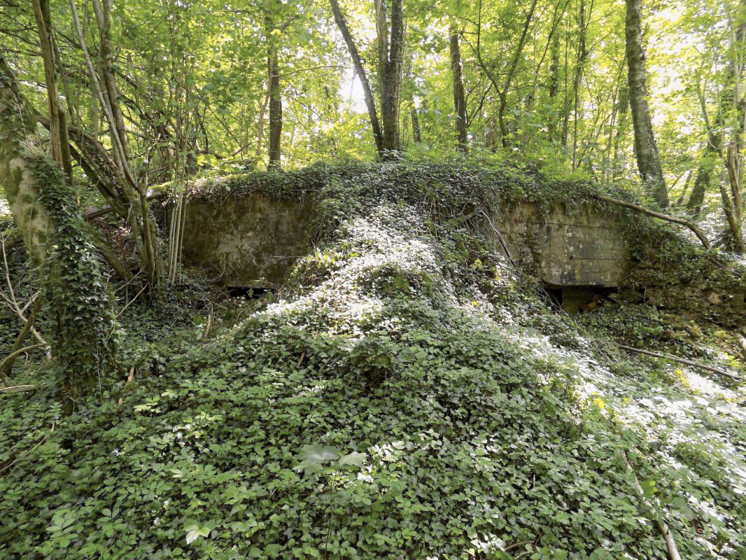 Ligne Maginot - 26A - RIMONNEAU OUEST - (Blockhaus pour canon) - Faces frontale, gauche et droite - R Tucker