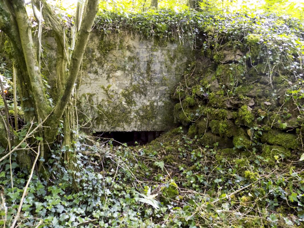 Ligne Maginot - 26A - RIMONNEAU OUEST - (Blockhaus pour canon) - Face frontale droite, créneau Hotchkiss - R Tucker
