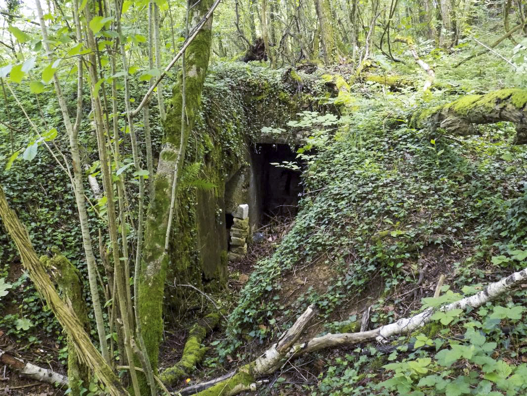 Ligne Maginot - 26A - RIMONNEAU OUEST - (Blockhaus pour canon) - Le tranchée du chemin vers l'entrée - R Tucker