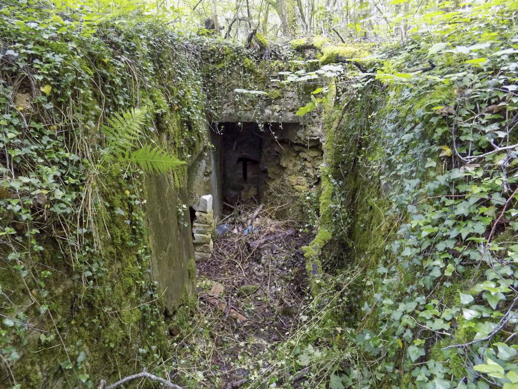 Ligne Maginot - 26A - RIMONNEAU OUEST - (Blockhaus pour canon) - L'entrée AC et l'endroit semi-ouvert - R Tucker