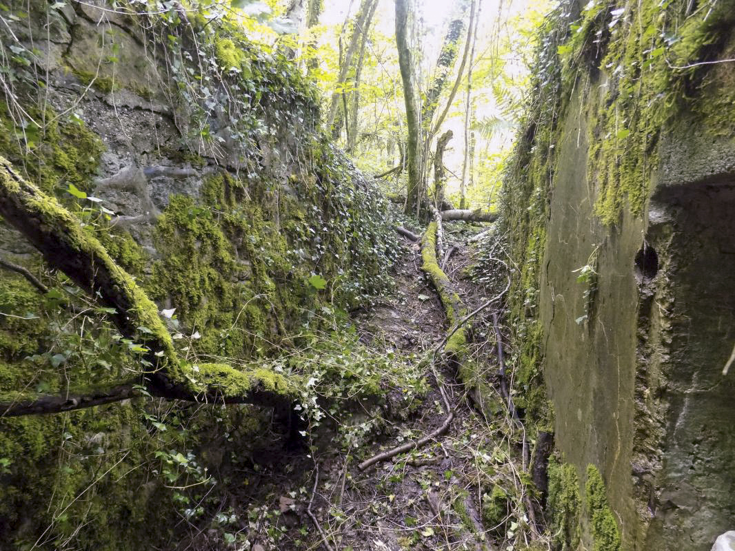 Ligne Maginot - 26A - RIMONNEAU OUEST - (Blockhaus pour canon) - Vue de l'entrée vers le tranchée - R Tucker