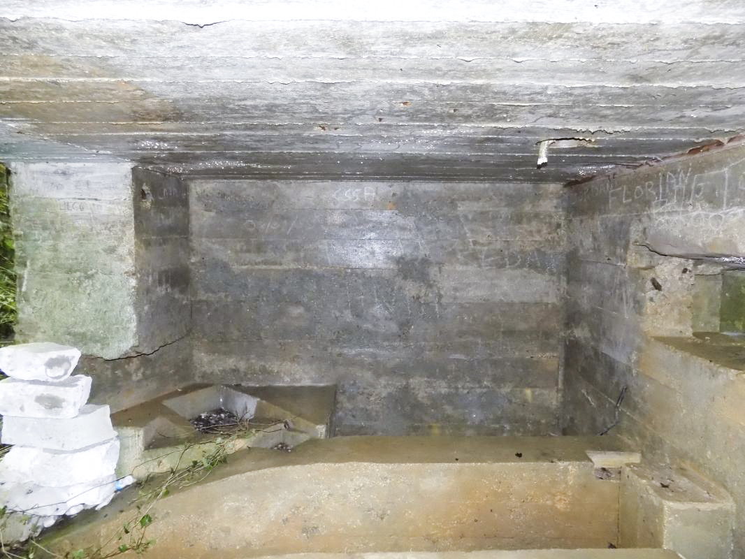 Ligne Maginot - 26A - RIMONNEAU OUEST - (Blockhaus pour canon) - Face gauche, sans créneau - R Tucker
