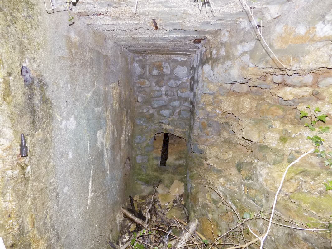 Ligne Maginot - 26A - RIMONNEAU OUEST - (Blockhaus pour canon) - Semi-extérieur droite. Pas évident de passer par là .... - R Tucker