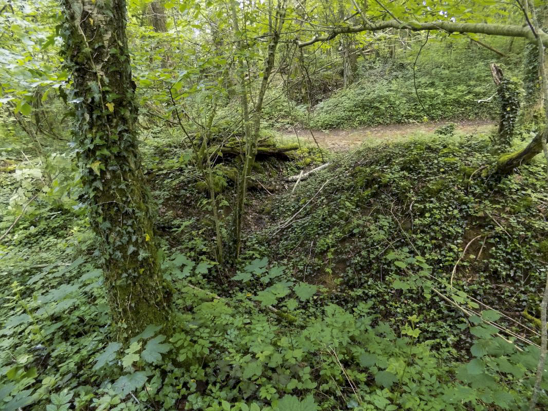 Ligne Maginot - 26A - RIMONNEAU OUEST - (Blockhaus pour canon) - Le tranchée du chemin vers l'entrée - R Tucker