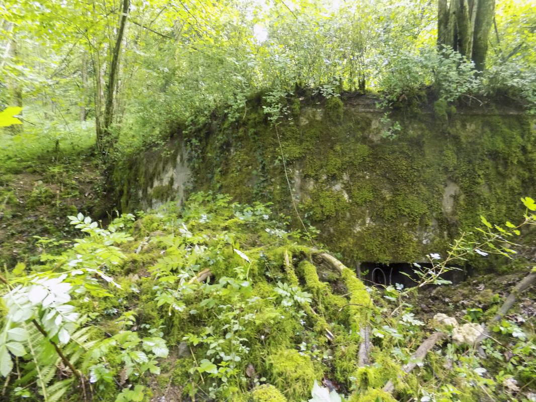 Ligne Maginot - 27A - RIMONNEAU EST - (Blockhaus pour canon) - Face frontale gauche - R Tucker