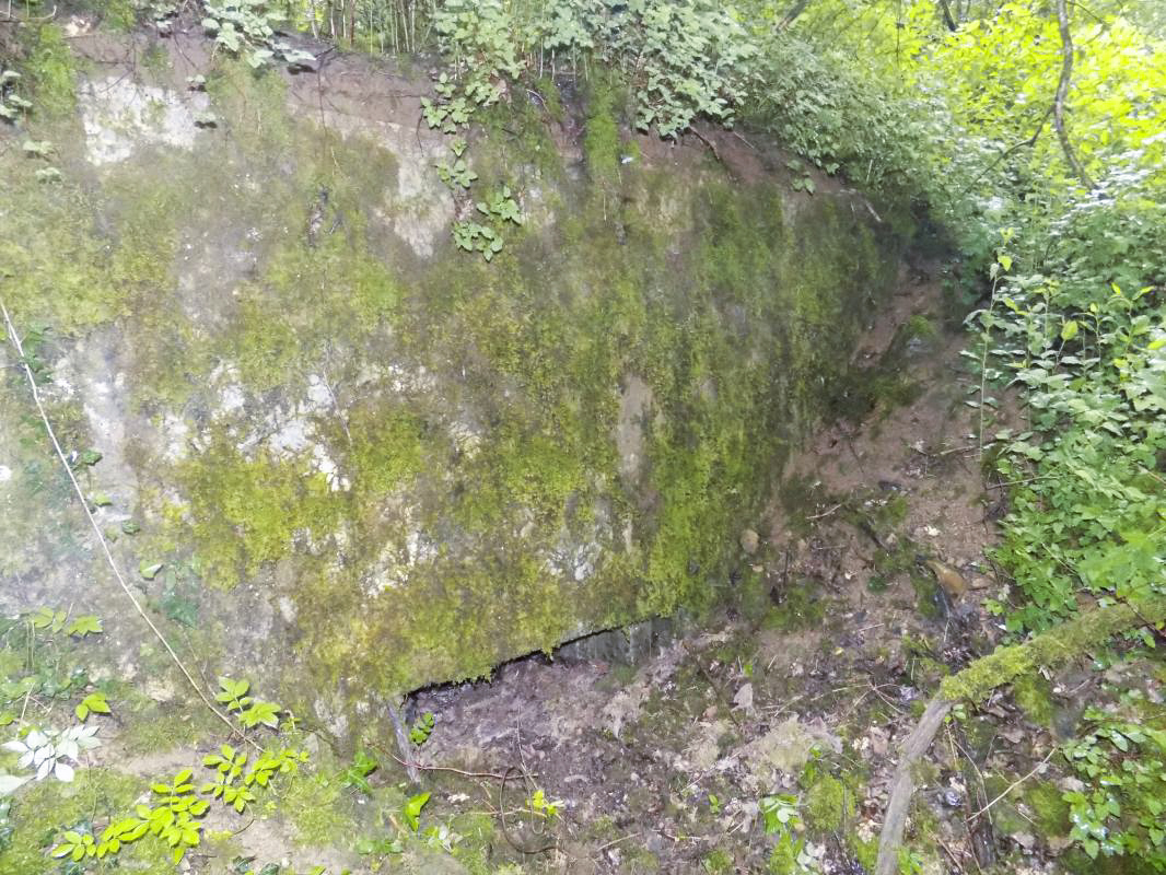 Ligne Maginot - 27A - RIMONNEAU EST - (Blockhaus pour canon) - Face frontale gauche - R Tucker