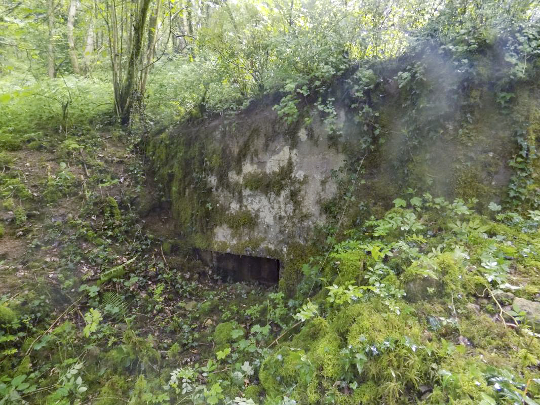 Ligne Maginot - 27A - RIMONNEAU EST - (Blockhaus pour canon) - Face frontale droite - R Tucker