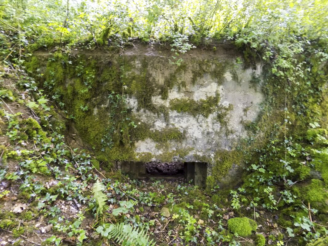 Ligne Maginot - 27A - RIMONNEAU EST - (Blockhaus pour canon) - Faces frontale droite - R Tucker
