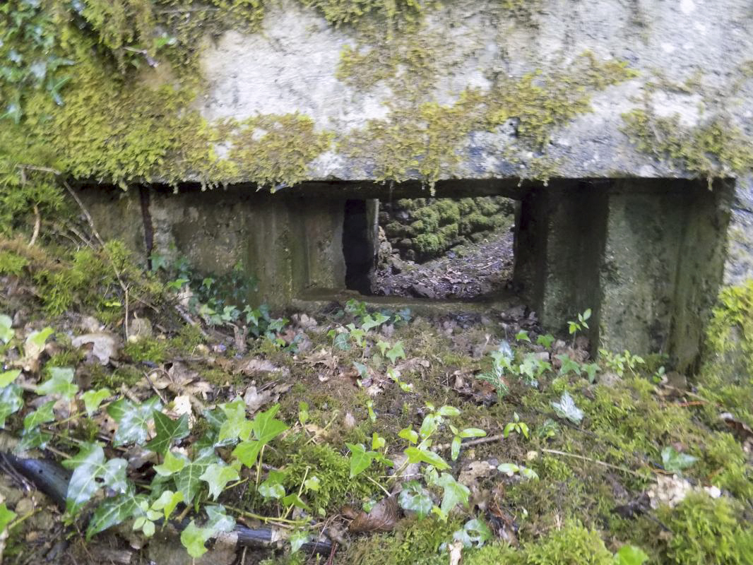 Ligne Maginot - 27A - RIMONNEAU EST - (Blockhaus pour canon) - Face frontale droite, créneau AC - R Tucker