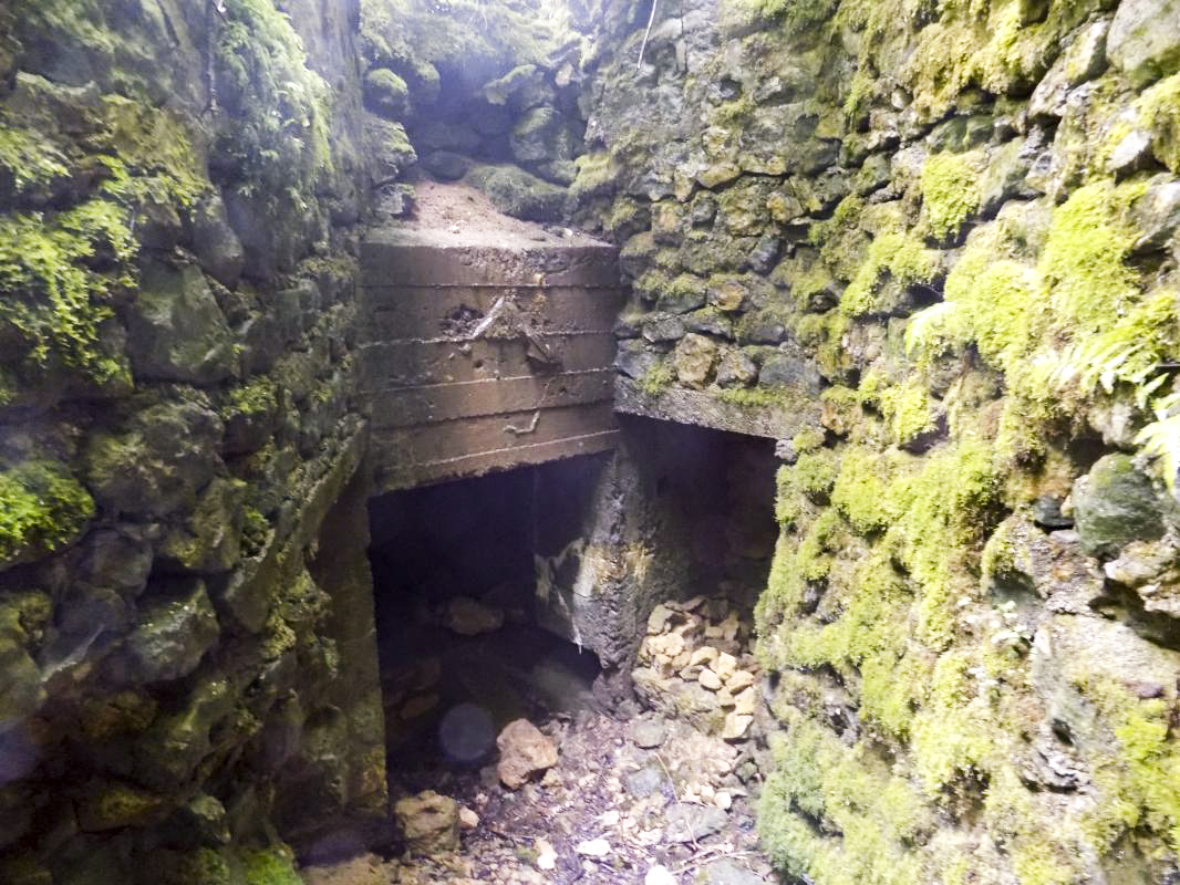 Ligne Maginot - 27A - RIMONNEAU EST - (Blockhaus pour canon) - L'entrée AC et deux recoins - R Tucker