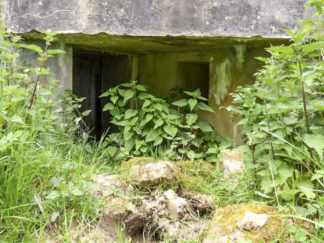 Ligne Maginot - A71-B - LA PLANCHETTE - (Observatoire d'infanterie) -  - JMBrams