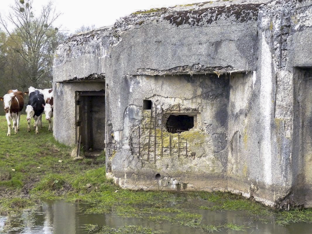 Ligne Maginot - Casemate A72 - Les AYVELLES Sud -  - JMBrams