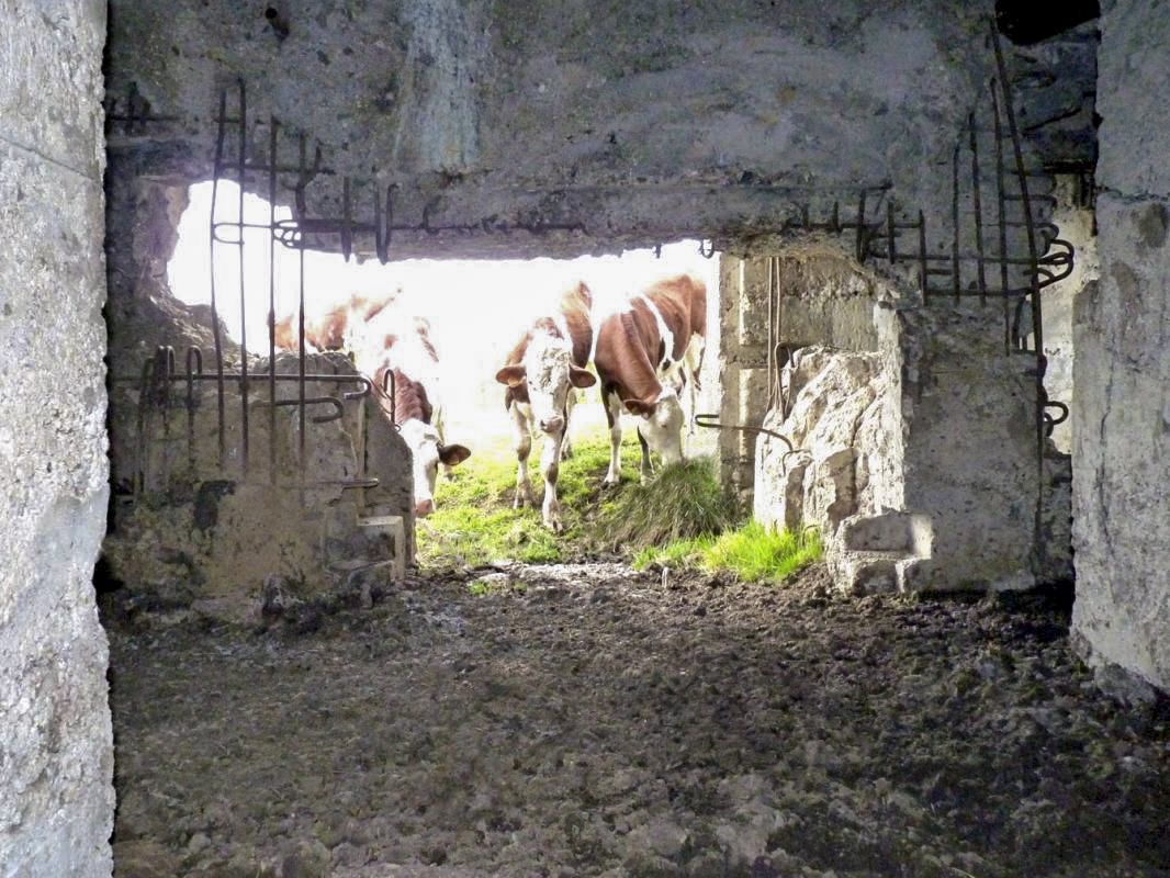 Ligne Maginot - Casemate A72 - Les AYVELLES Sud -  - JMBrams