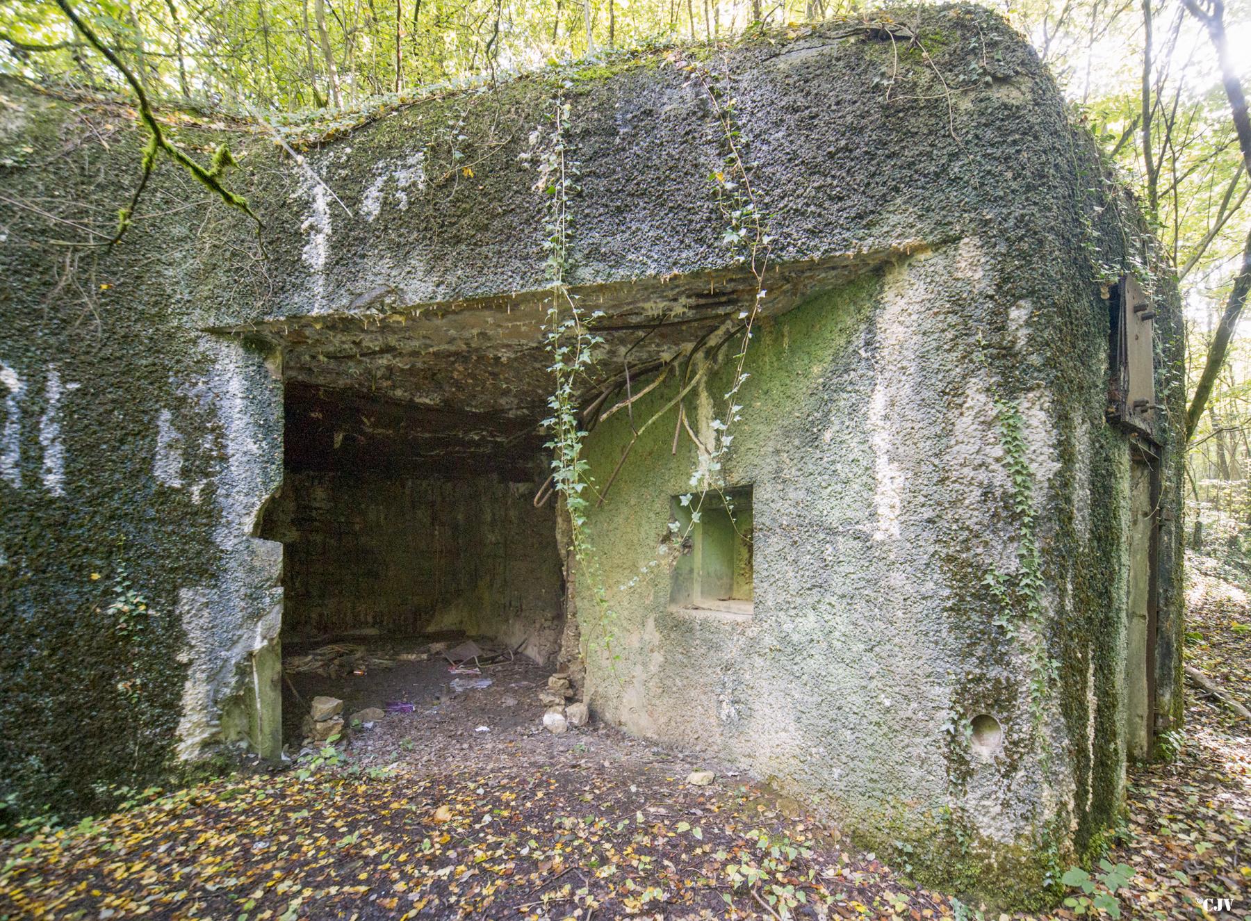 Ligne Maginot - A74 - FLIZE-CHARLEMAGNE - (Casemate d'artillerie) -  - Lia VERMEULEN