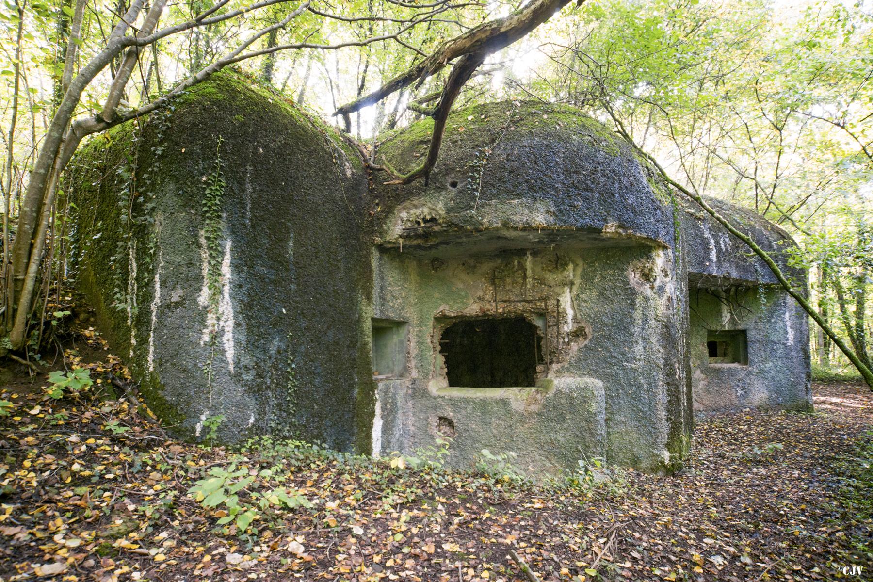 Ligne Maginot - A74 - FLIZE-CHARLEMAGNE - (Casemate d'artillerie) -  - Lia VERMEULEN