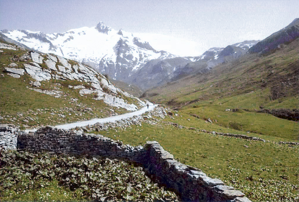 Ligne Maginot - SELOGES - (Ouvrage d'infanterie) - Sur l'avant, la vallée de la ville des Glaciers ou débouche le col de la Seigne - Jean-Bernard Wahl