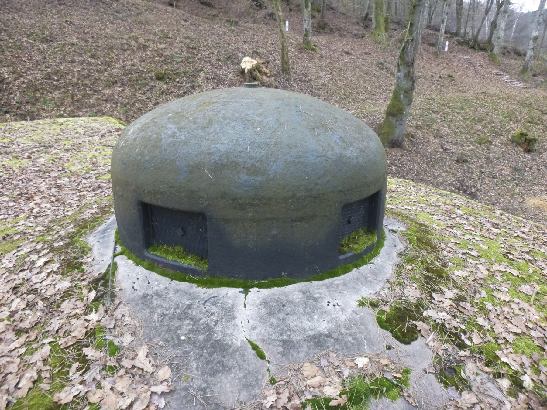 Ligne Maginot - DAMBACH SUD - C56 - (Casemate d'infanterie - Double) - Cloche GFM - J.luc