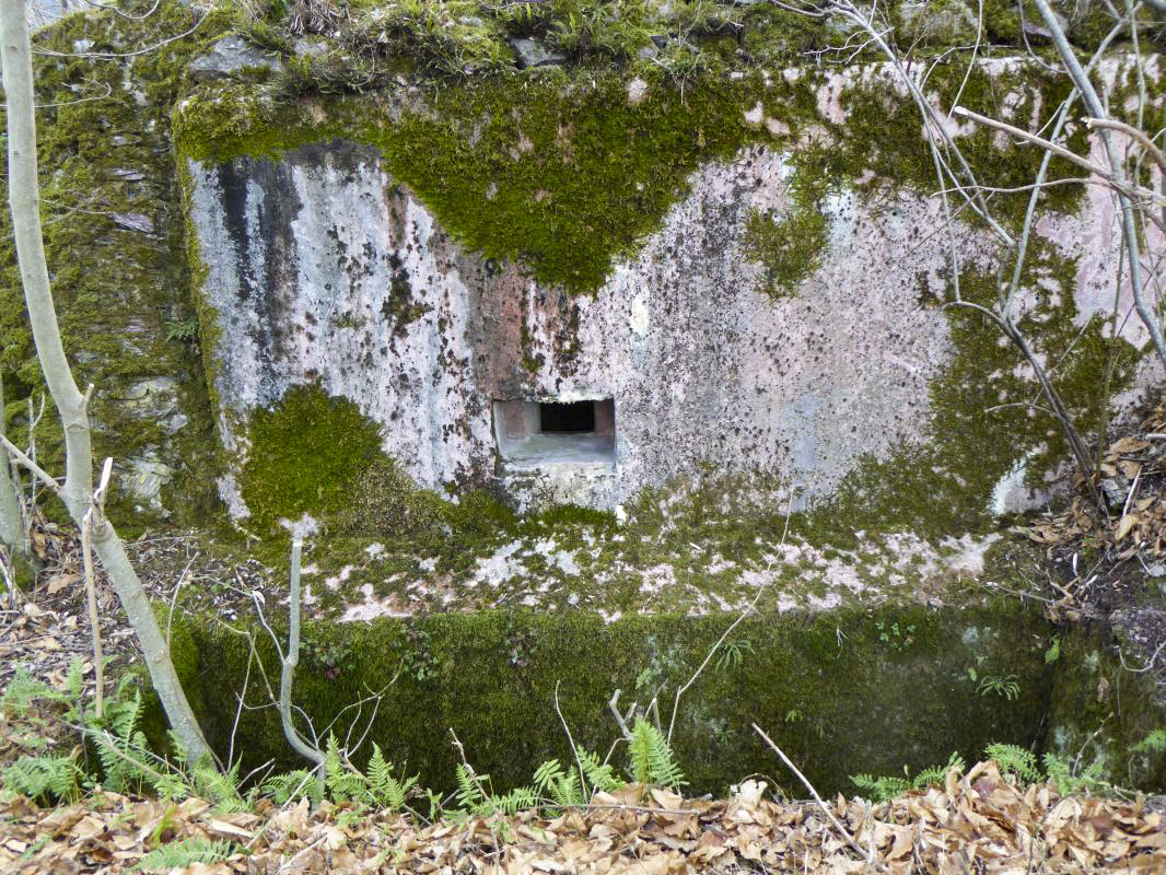 Ligne Maginot - PLANET - (Ouvrage d'infanterie) - Bloc 5 - ELLENA-CUNY