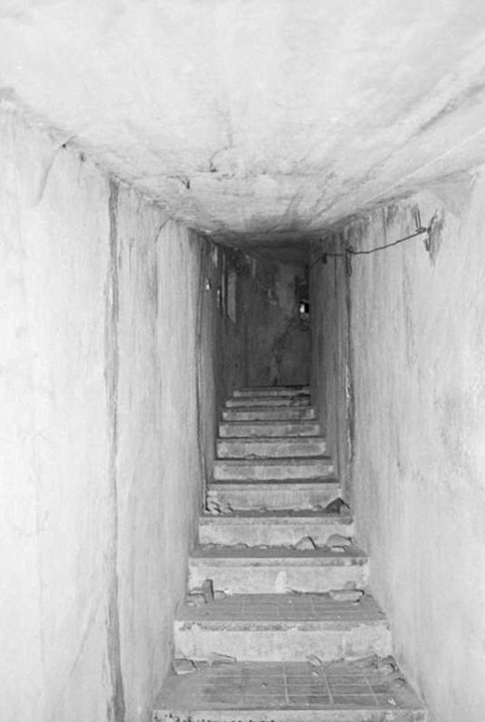 Ligne Maginot - LE PRA (LP)  - (AVANT POSTE) - (Ouvrage d'infanterie) - Bloc 1
L'escalier vu du bas - Alain Loviny