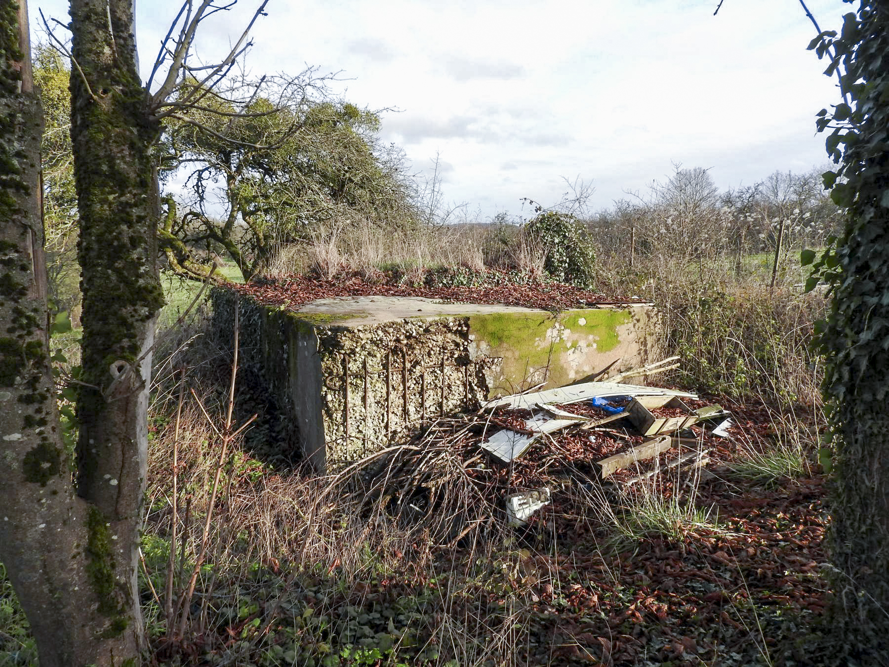 Ligne Maginot - KEMPLICH SUD 2 - (Blockhaus pour arme infanterie) - Le blockhaus est en partie remblayé. - STENGER Mathieu