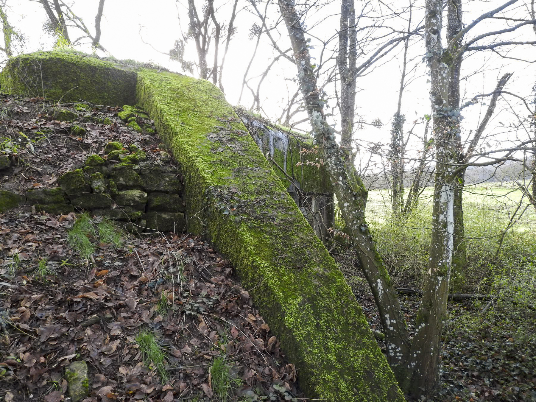 Ligne Maginot - BB38 - (Blockhaus pour canon) - Le mur d'aile et la façade de tir. - STENGER Mathieu