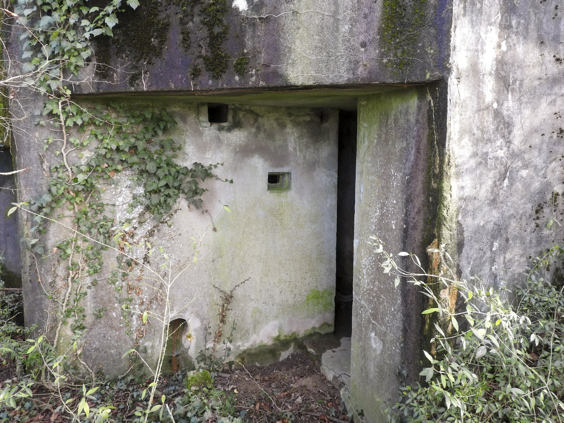 Ligne Maginot - BB38 - (Blockhaus pour canon) - L'entrée du blockhaus. - STENGER Mathieu