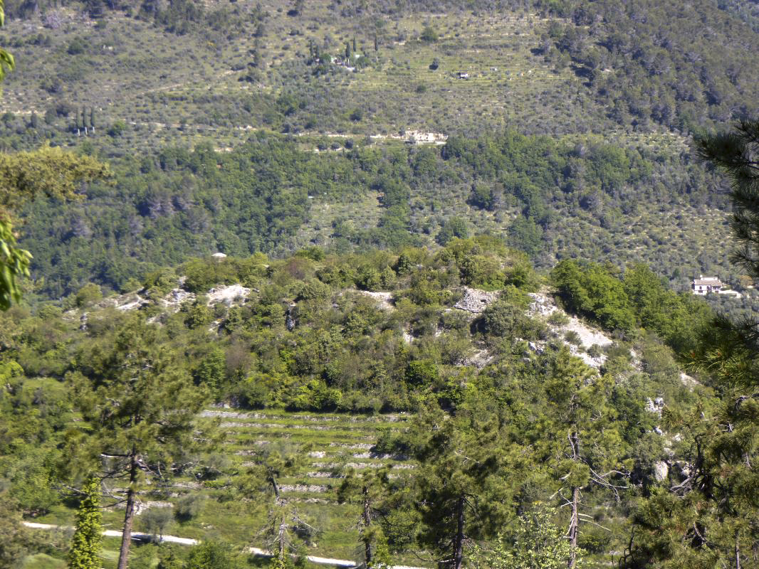 Ligne Maginot - CASTES RUINES (CR) - (Ouvrage d'infanterie) - Vue d'ensemble - ELLENA-CUNY
