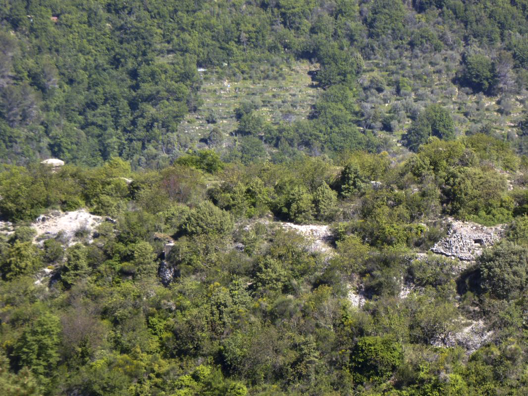 Ligne Maginot - CASTES RUINES (CR) - (Ouvrage d'infanterie) - Vue d'ensemble - ELLENA-CUNY