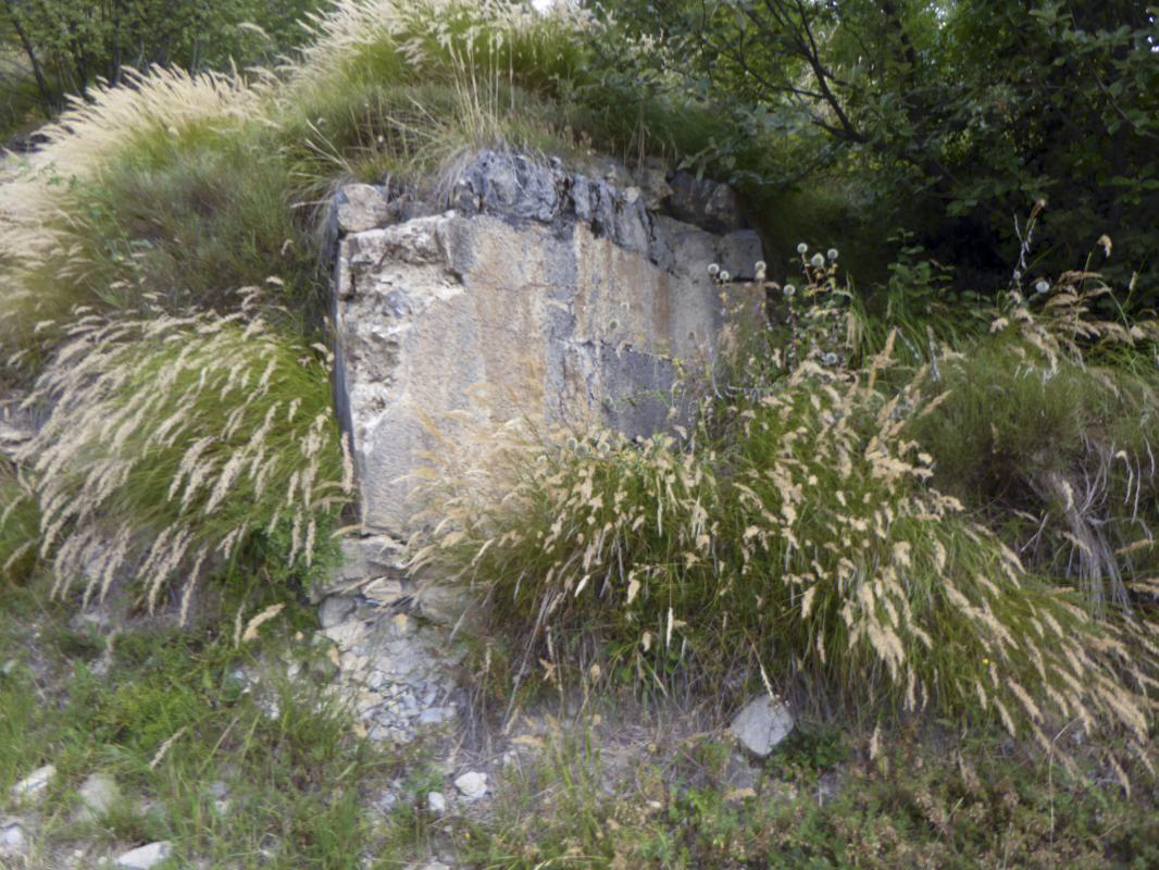 Ligne Maginot - SAINT DALMAS LE SELVAGE (SD) - (Ouvrage d'infanterie) - Bloc 1
L'entrée comblée - ELLENA-CUNY