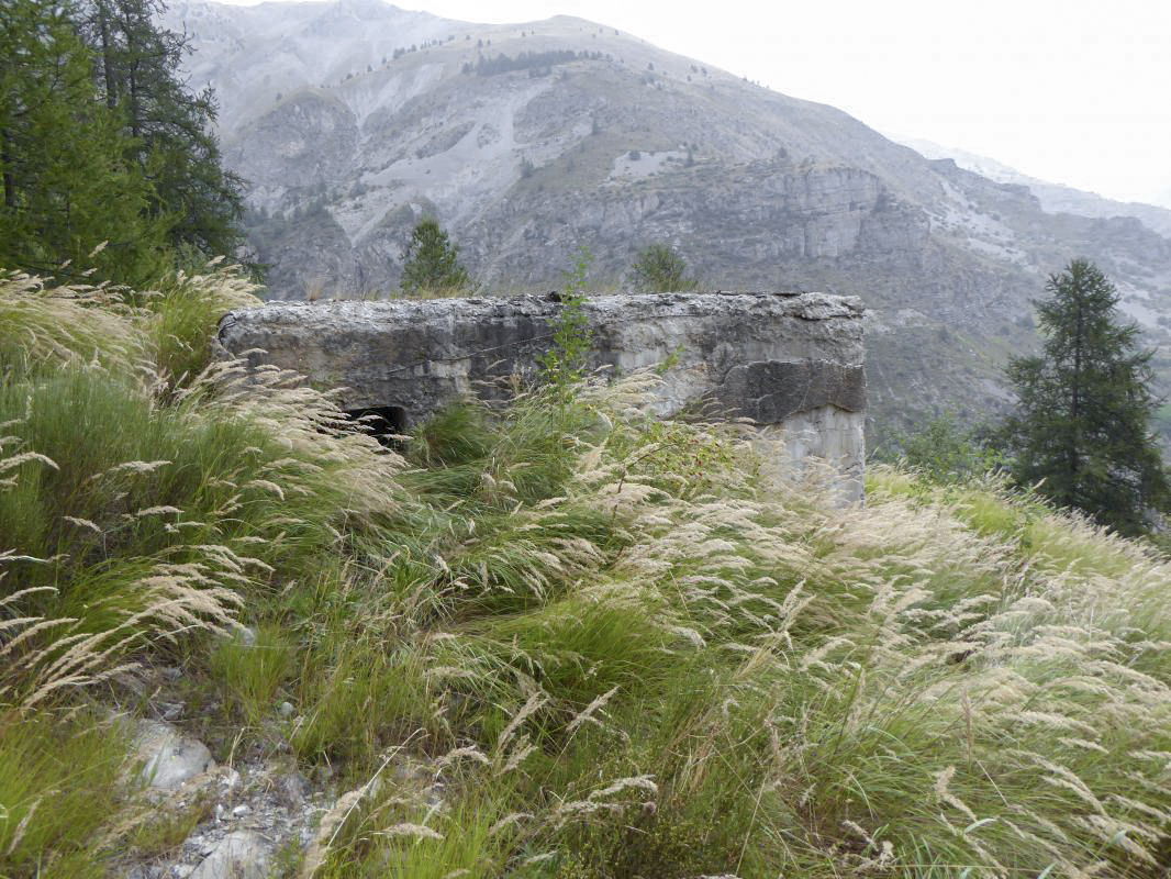 Ligne Maginot - SAINT DALMAS LE SELVAGE (SD) - (Ouvrage d'infanterie) - Bloc 2 - ELLENA-CUNY