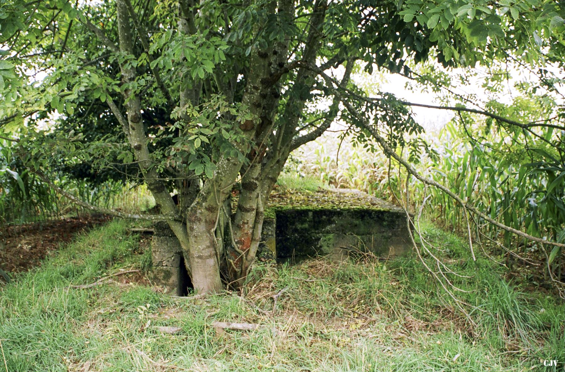 Ligne Maginot - WOLFACKER EST - (Observatoire d'infanterie) -  - Lia VERMEULEN