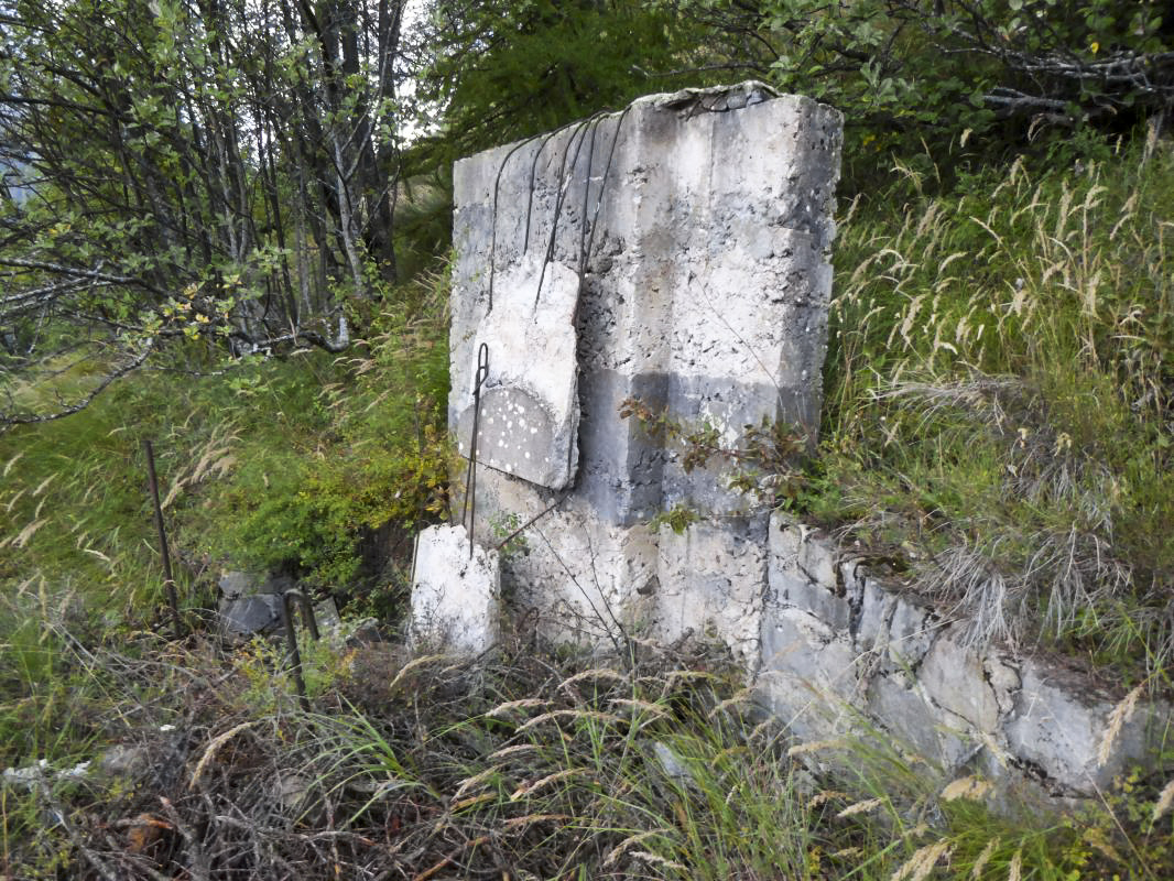 Ligne Maginot - SAINT DALMAS LE SELVAGE (SD) - (Ouvrage d'infanterie) -  - ELLENA-CUNY