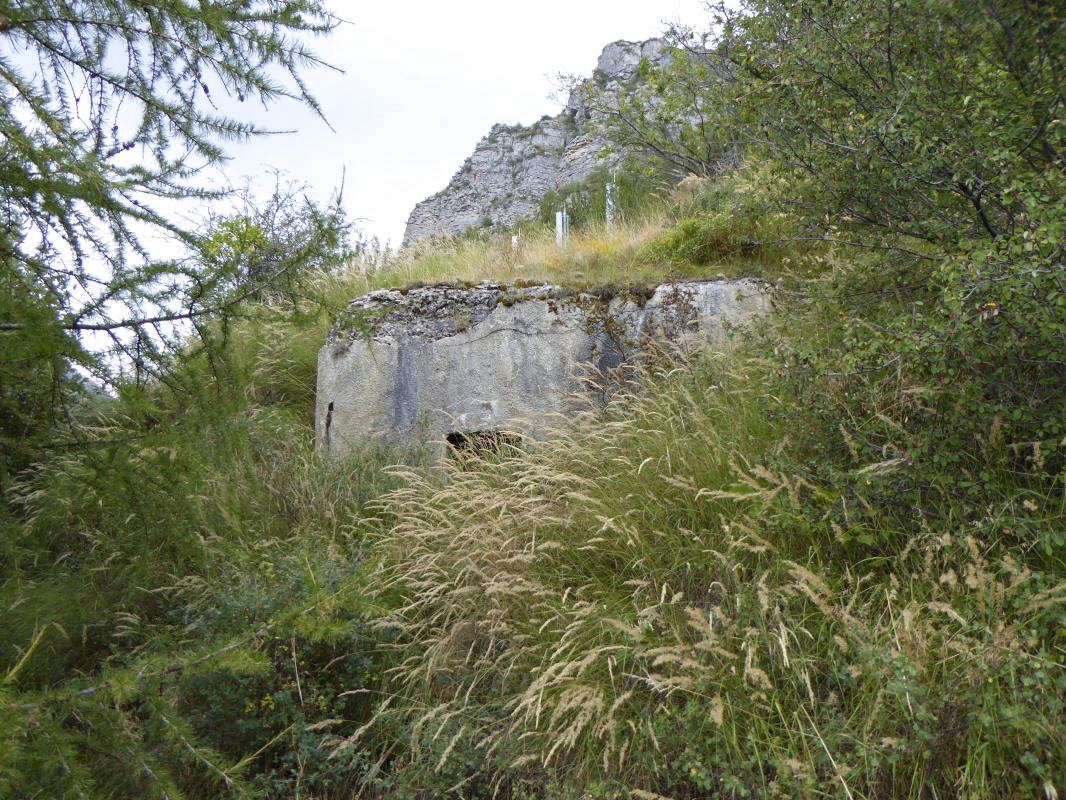 Ligne Maginot - SAINT DALMAS LE SELVAGE (SD) - (Ouvrage d'infanterie) - Bloc 5 - ELLENA-CUNY