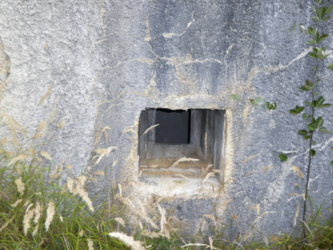Ligne Maginot - SAINT DALMAS LE SELVAGE (SD) - (Ouvrage d'infanterie) - Bloc 5 - ELLENA-CUNY