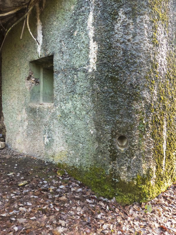 Ligne Maginot - A74 - FLIZE-CHARLEMAGNE - (Casemate d'artillerie) -  - JMBrams