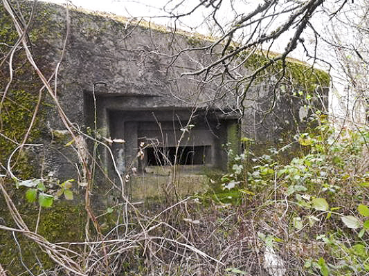 Ligne Maginot - BB77-D - LE LINHAT NORD - (Blockhaus pour arme infanterie) -  - AALMA - www.lignemaginot.com