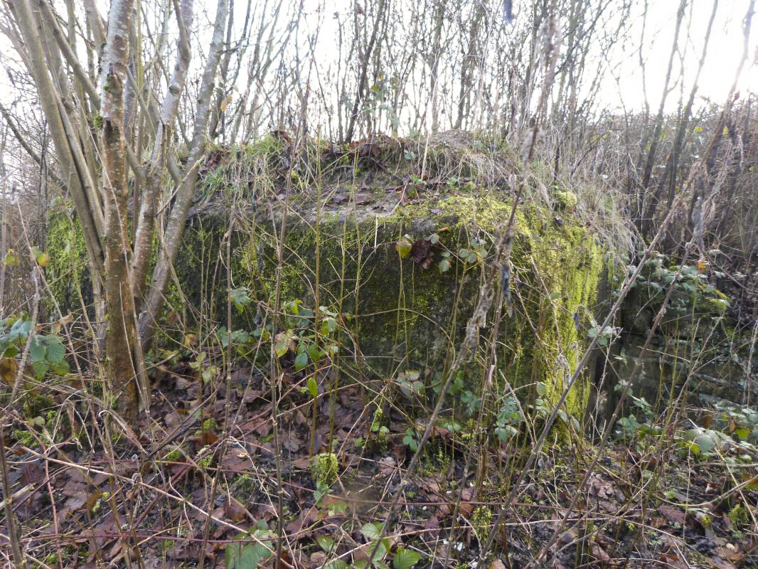 Ligne Maginot - BB77-E - LE LINHAT SUD - (Blockhaus pour arme infanterie) -  - JMBrams