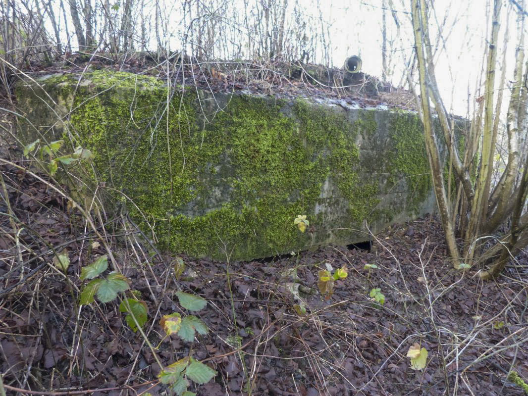 Ligne Maginot - BB77-E - LE LINHAT SUD - (Blockhaus pour arme infanterie) -  - JMBrams