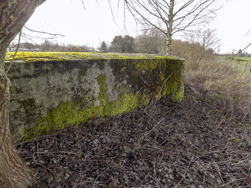 Ligne Maginot - BB77 - LES HACHES OUEST - (Blockhaus pour canon) - Face frontale, coté gauche - R Tucker