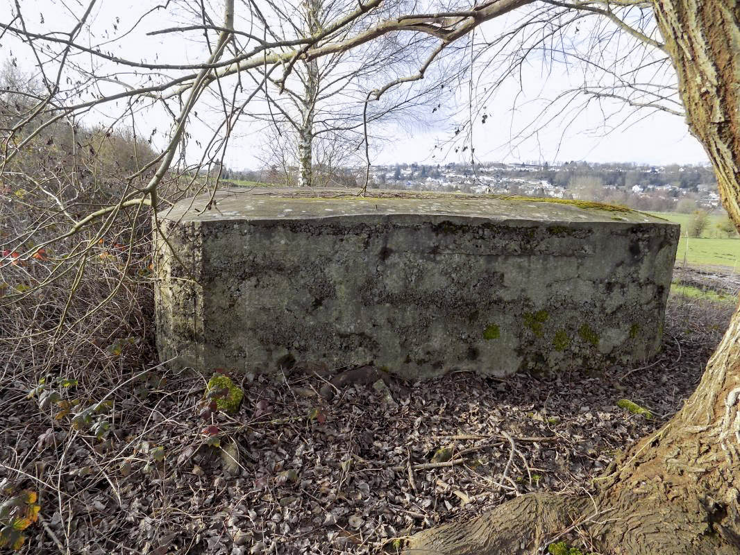 Ligne Maginot - BB77 - LES HACHES OUEST - (Blockhaus pour canon) - Face droite, vers l'est - R Tucker