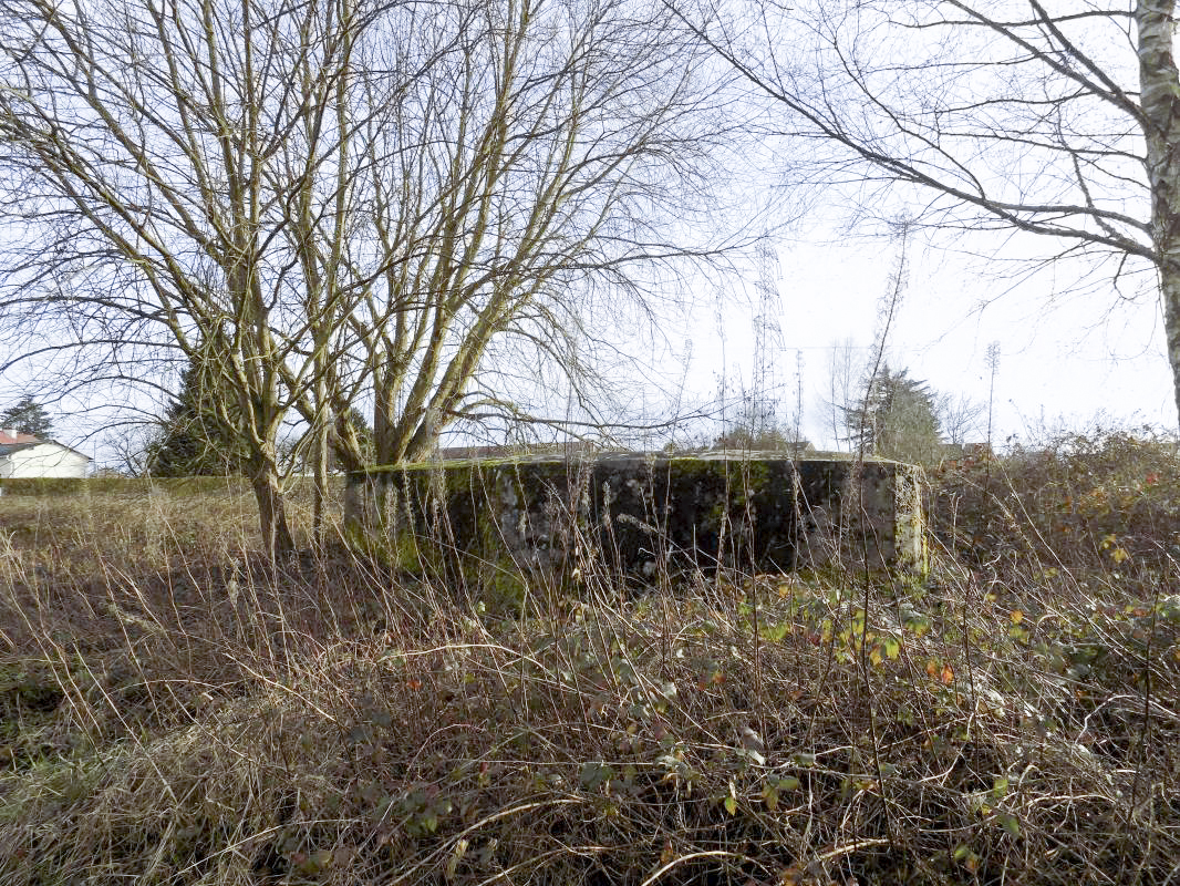 Ligne Maginot - BB77 - LES HACHES OUEST - (Blockhaus pour canon) - Face gauche, vers l'ouest - R Tucker