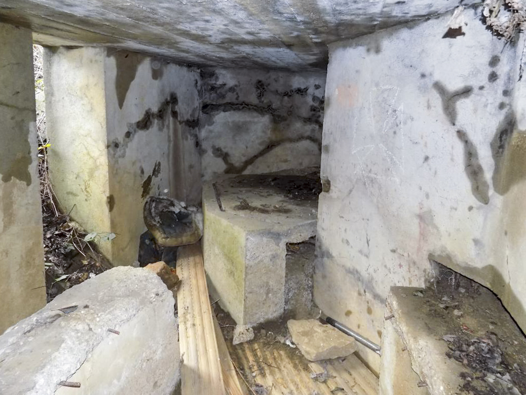 Ligne Maginot - BB77 - LES HACHES OUEST - (Blockhaus pour canon) - L'intérieur gauche - R Tucker