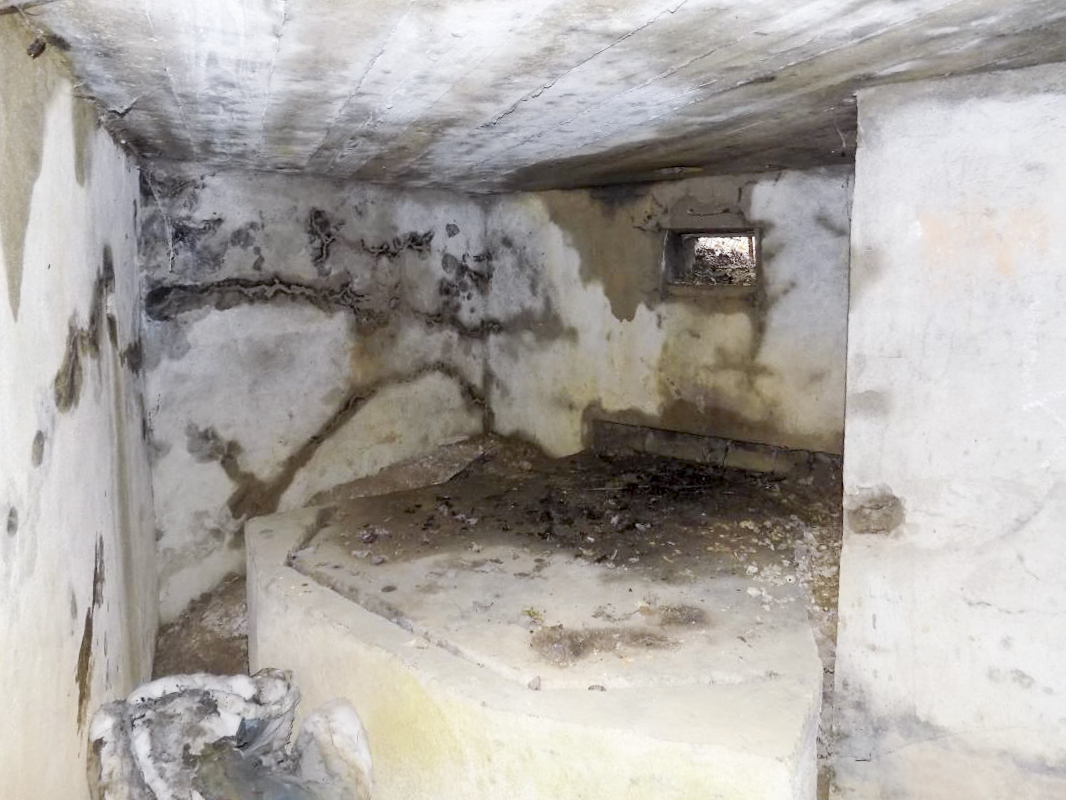 Ligne Maginot - BB77 - LES HACHES OUEST - (Blockhaus pour canon) - Créneau gauche - R Tucker