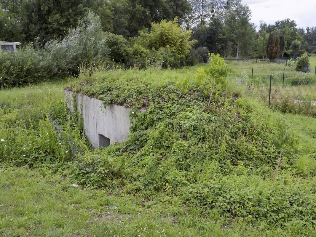 Ligne Maginot - BB78-C - GRANDE AYVELLE - (Blockhaus de type indéterminé) - L'arrière et face droite - R Tucker