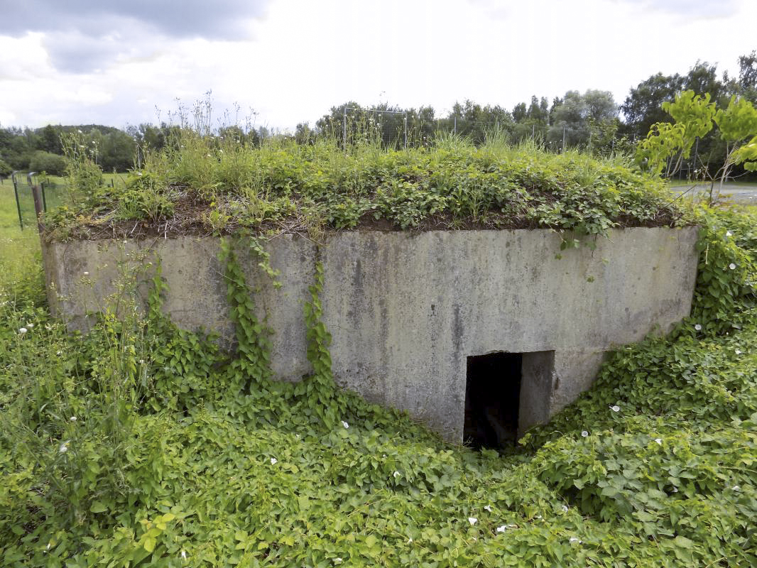 Ligne Maginot - BB78-C - GRANDE AYVELLE - (Blockhaus de type indéterminé) - L'arrière avec l'entrée - R Tucker