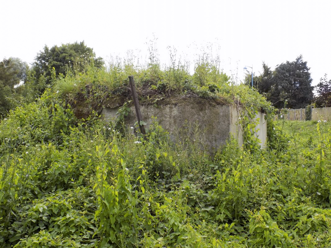 Ligne Maginot - BB78-C - GRANDE AYVELLE - (Blockhaus de type indéterminé) - Face gauche - R Tucker