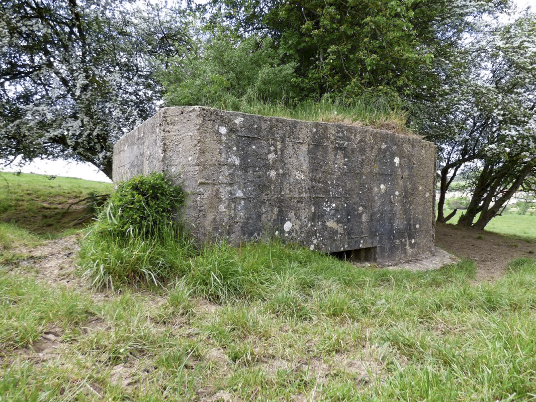 Ligne Maginot - BB79-A - LA GROSSE BORNE - (Blockhaus pour canon) -  - JMBrams