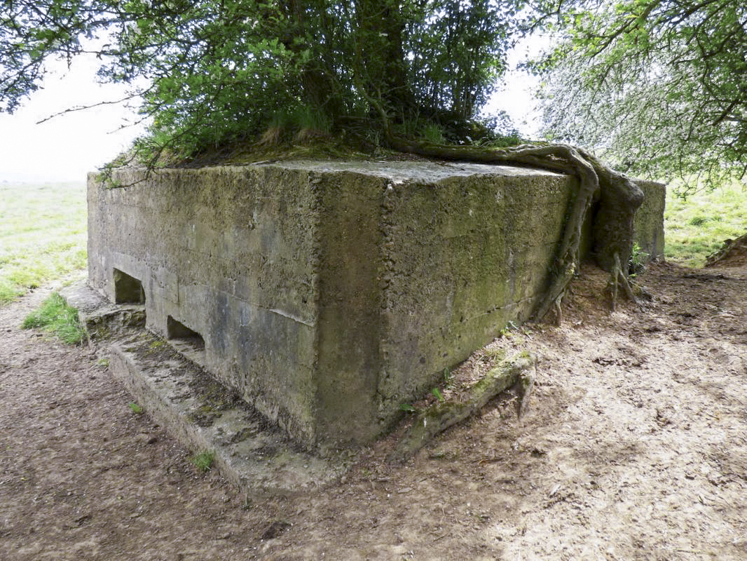 Ligne Maginot - BB79-A - LA GROSSE BORNE - (Blockhaus pour canon) -  - JMBrams