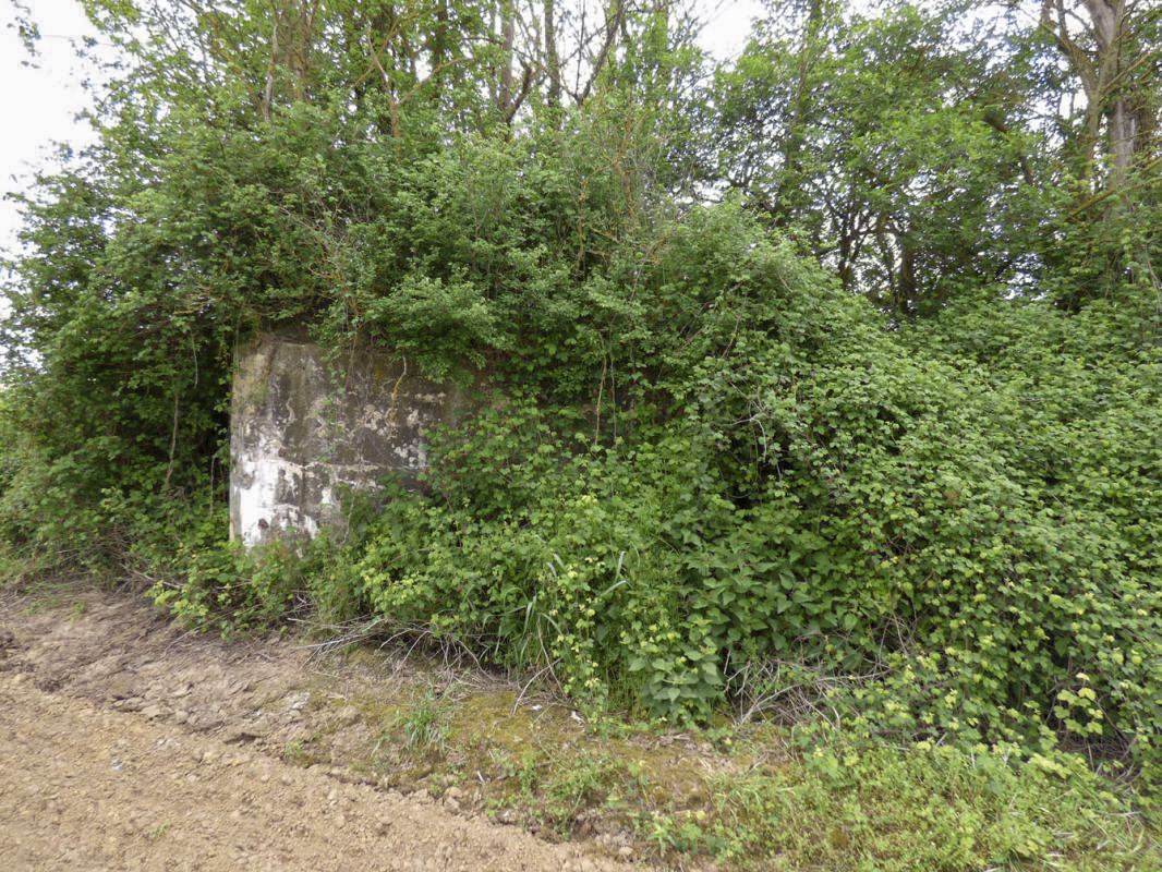 Ligne Maginot - BB79-B - BASSES TERRES OUEST - (Blockhaus pour arme infanterie) -  - JMBrams