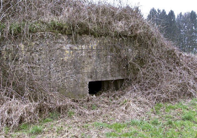 Ligne Maginot - BB80-A - LE TILLEUL - (Blockhaus pour canon) -  - François MATHOT